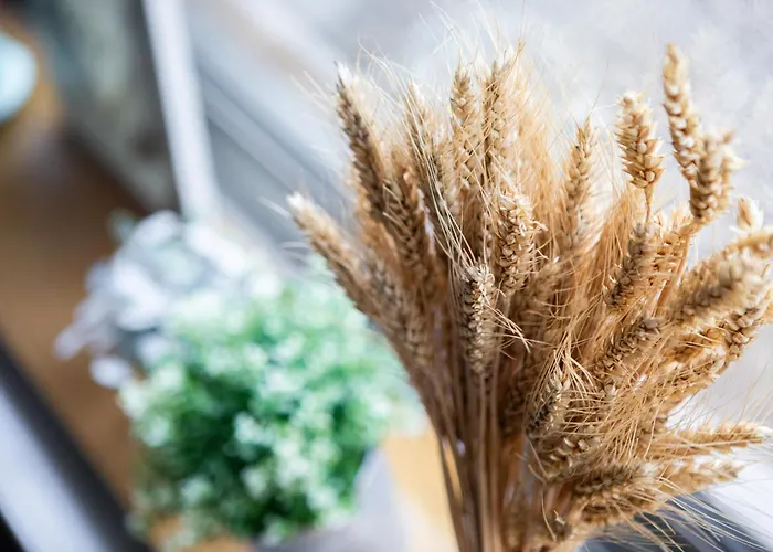 Familial De Charme 3 Epis Belvedere